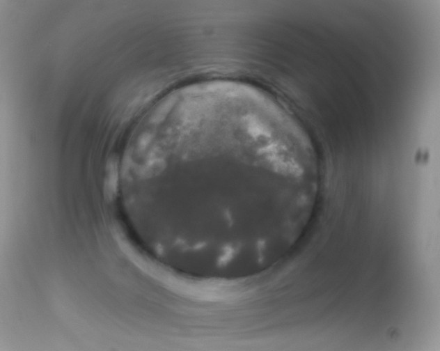 X0000113080028200909182100