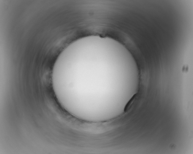 X0000113080029200909182100
