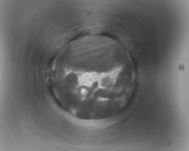 X0000113080030200909182100