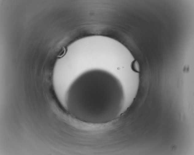 X0000113080031200909182100