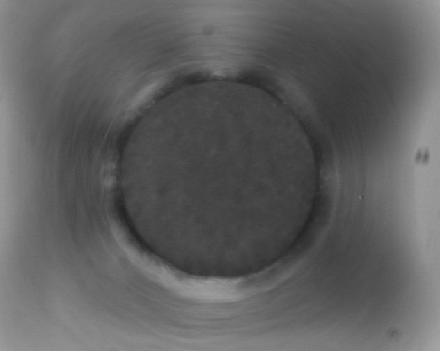 X0000113080032200909182100