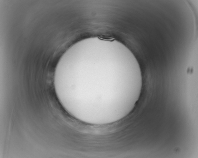 X0000113080033200909182100