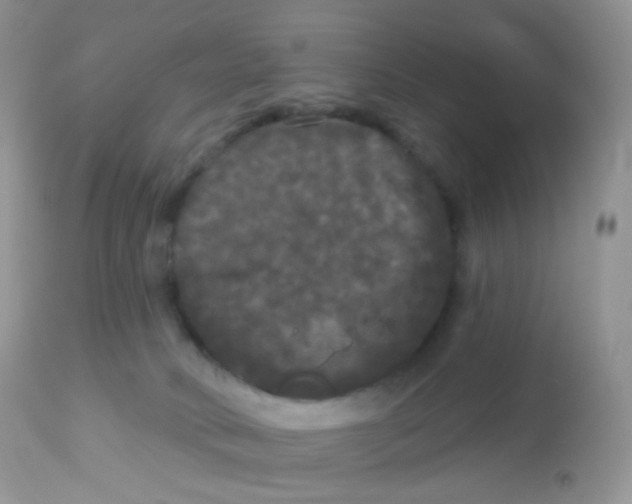 X0000113080034200909182100