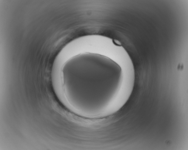 X0000113080035200909182100