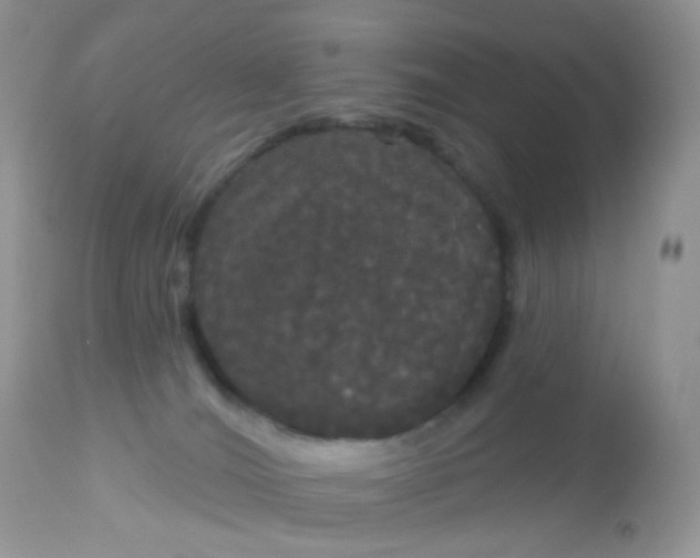 X0000113080036200909182100