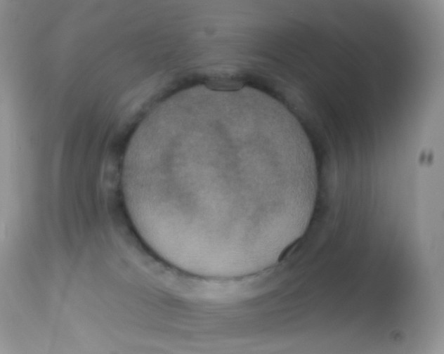 X0000113080037200909182100
