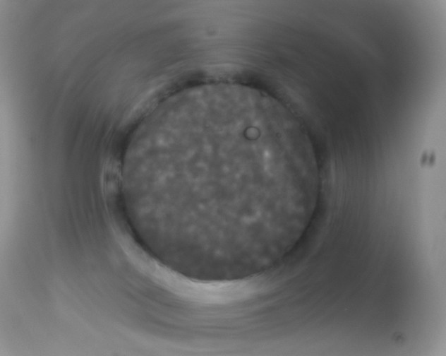 X0000113080038200909182100