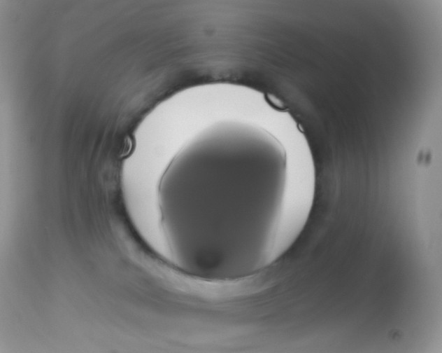 X0000113080039200909182100