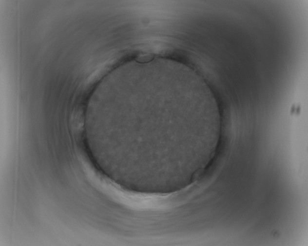 X0000113080040200909182100