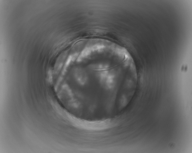 X0000113080042200909182100