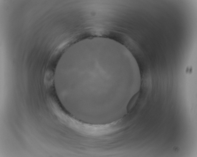 X0000113080043200909182100