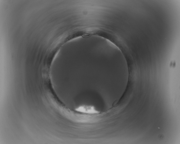 X0000113080044200909182100
