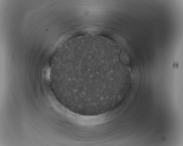 X0000113080046200909182100