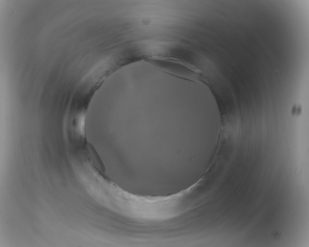 X0000113080047200909182100