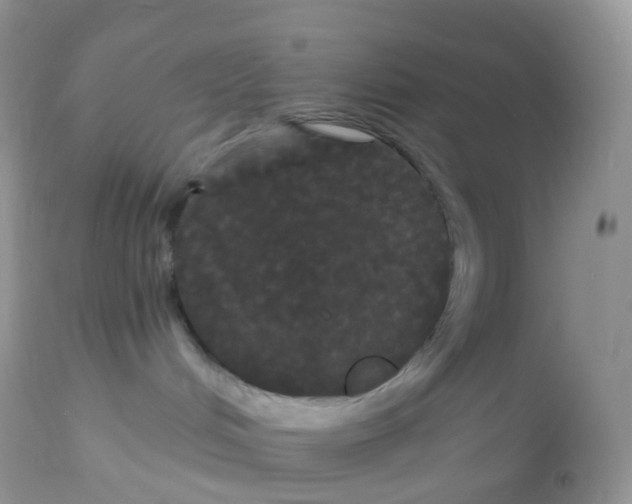 X0000113080048200909182100