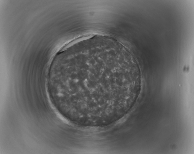 X0000113080049200909182059