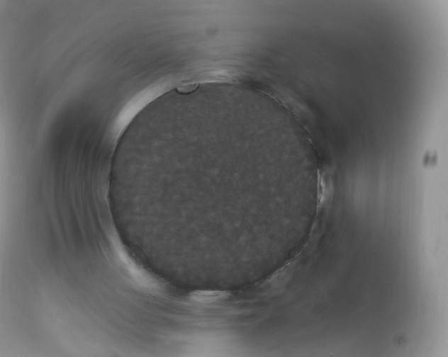 X0000113080051200909182059