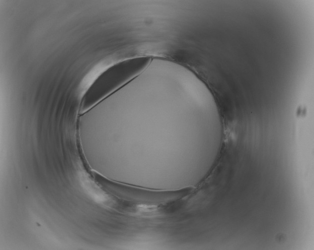 X0000113080052200909182059