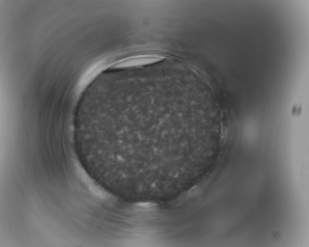 X0000113080053200909182059