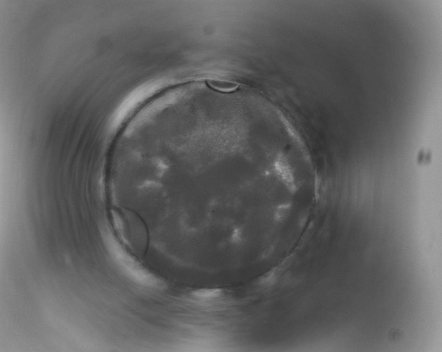 X0000113080054200909182059