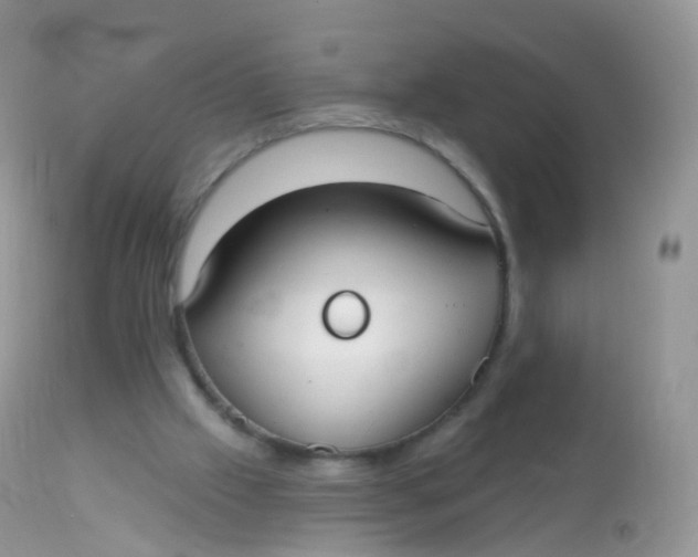 X0000113080057200909182100