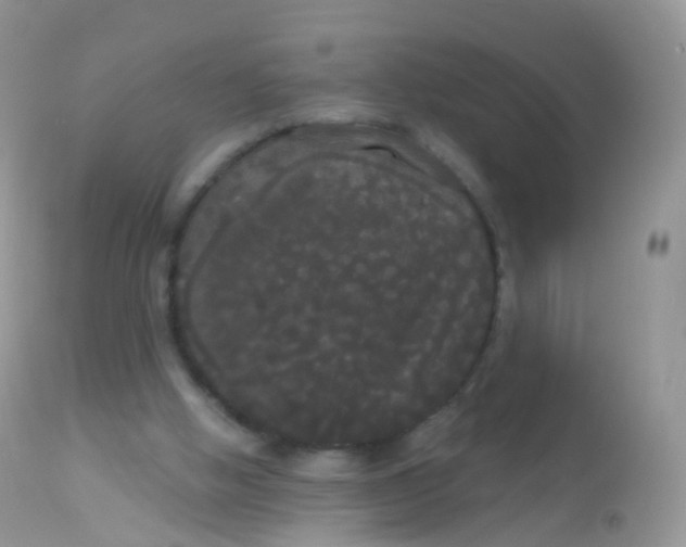 X0000113080058200909182100
