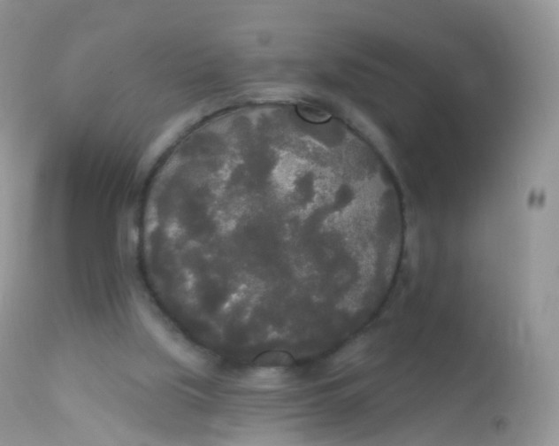 X0000113080059200909182100