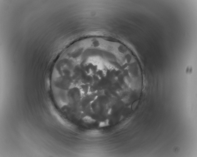 X0000113080061200909182100