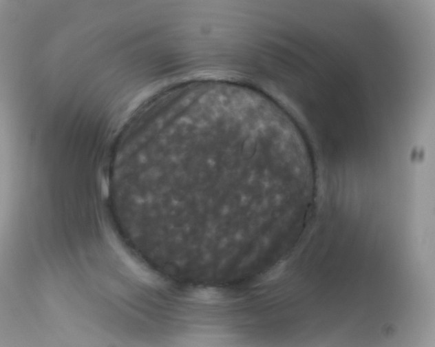 X0000113080062200909182100