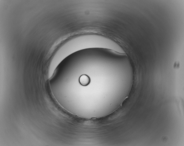 X0000113080064200909182100