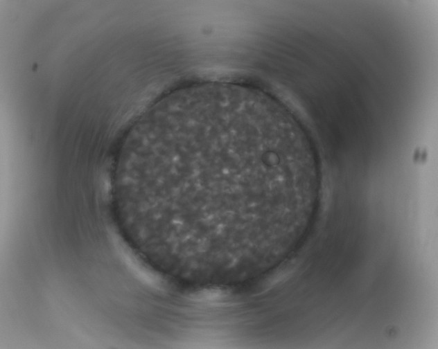 X0000113080065200909182100