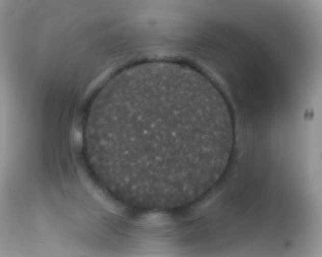 X0000113080067200909182100