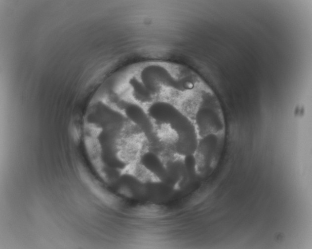 X0000113080069200909182100