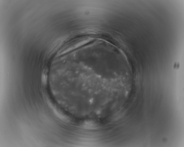 X0000113080070200909182100