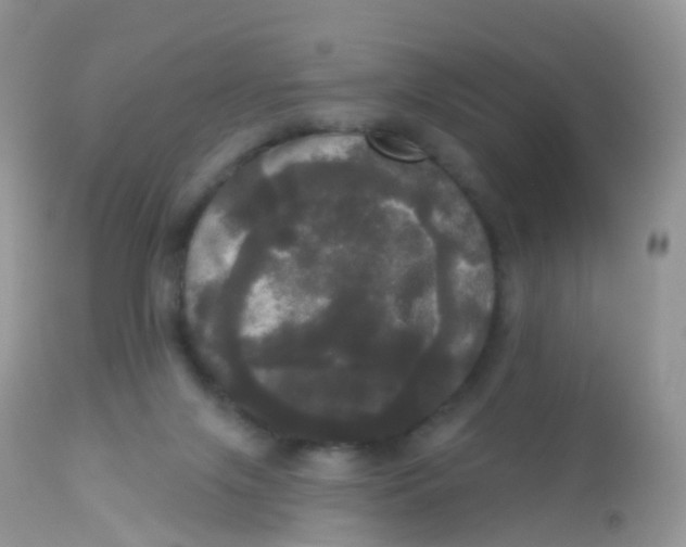 X0000113080071200909182100