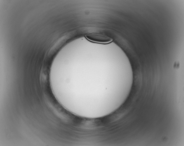 X0000113080072200909182100
