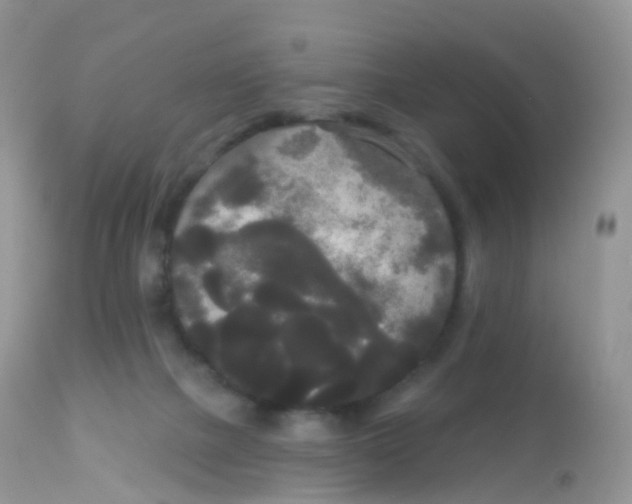 X0000113080073200909182100