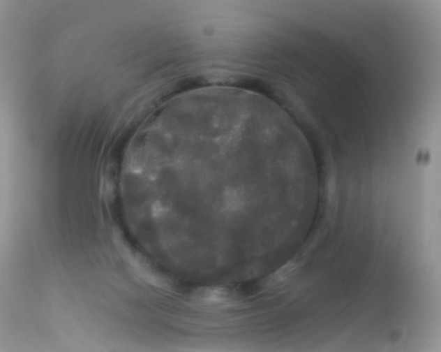 X0000113080074200909182100