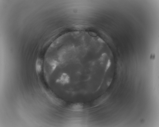 X0000113080075200909182100