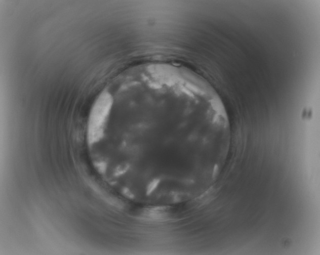 X0000113080078200909182100