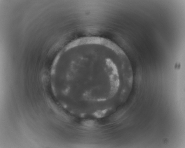 X0000113080079200909182100