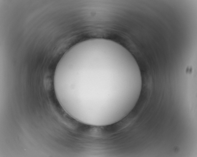 X0000113080080200909182100