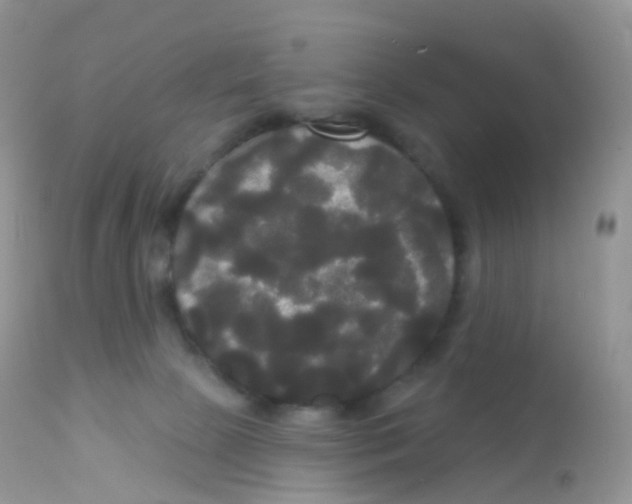 X0000113080081200909182100