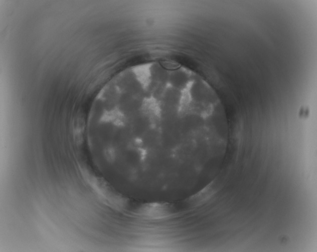 X0000113080082200909182100