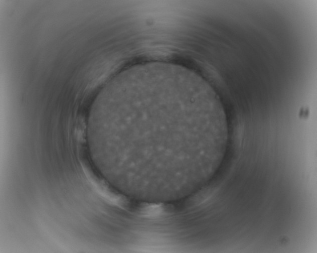 X0000113080083200909182100
