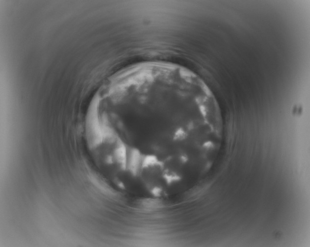 X0000113080085200909182100