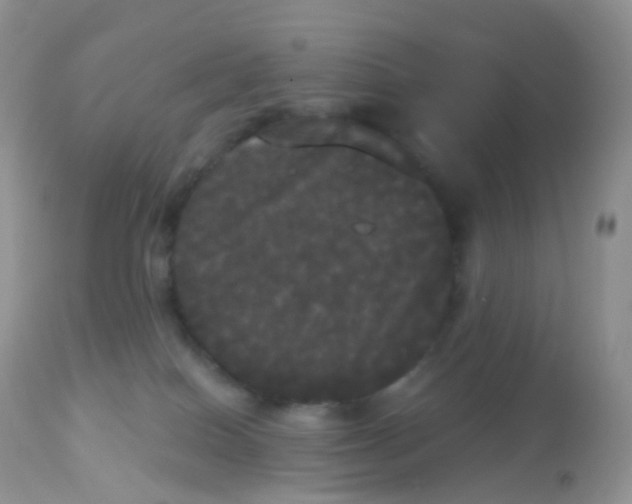X0000113080086200909182100