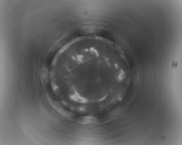 X0000113080087200909182100