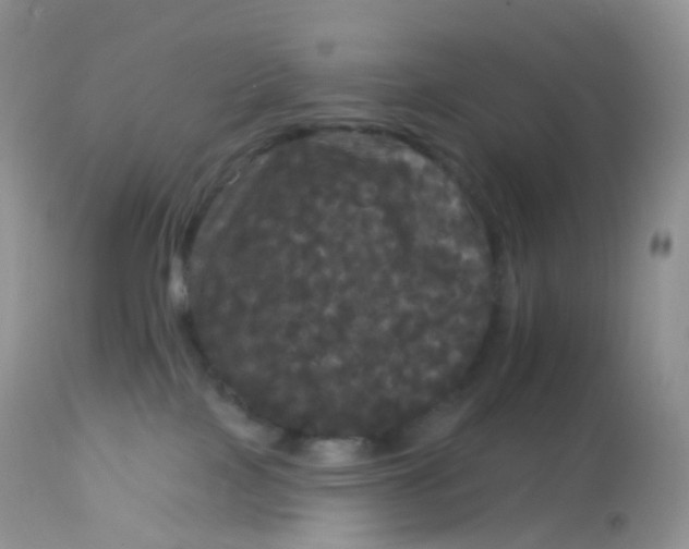 X0000113080089200909182100