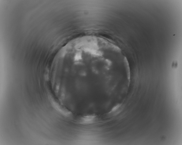 X0000113080090200909182100